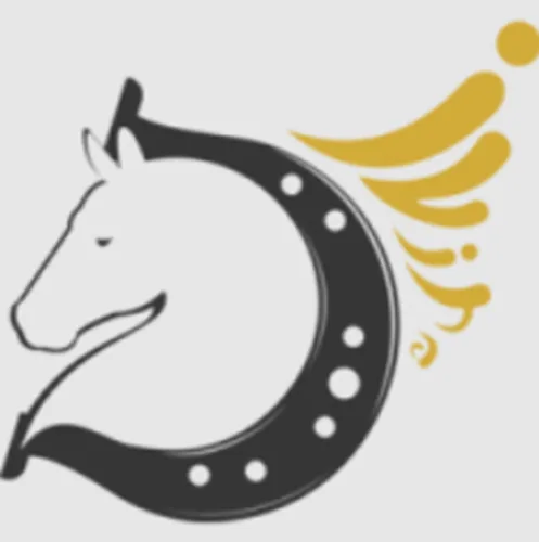 Divine-ディバイン-